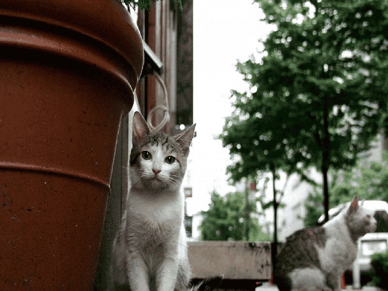 沈阳惜缘试管代生机构：怀二胎孕吐反应特大，和孕妇自身以及胎儿都有关