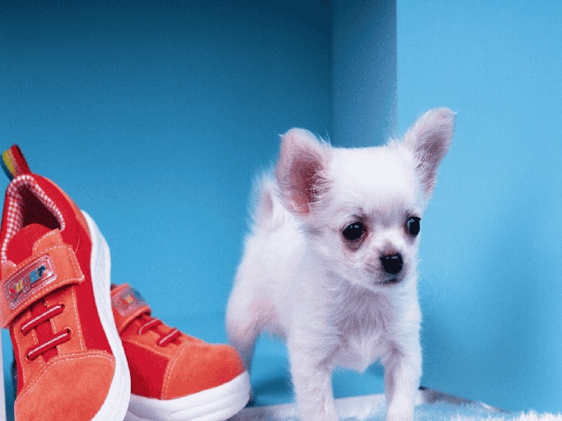 军属试管唐都反转巴黎试管真假大荔做试管的姐妹